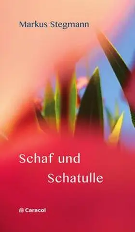 Stegmann |  Schaf und Schatulle | Buch |  Sack Fachmedien