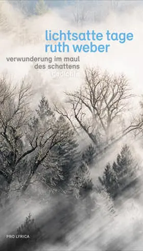Weber | Lichtsatte Tage – Verwunderung im Maul des Schattens | Buch | 978-3-907551-65-3 | sack.de