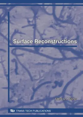 Fisher |  Surface Reconstructions | Buch |  Sack Fachmedien