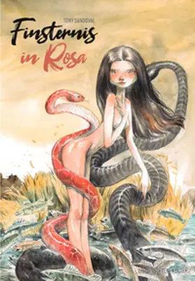 Sandoval |  Finsternis in Rosa | Buch |  Sack Fachmedien