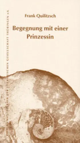 Quilitzsch |  Begegnung mit einer Prinzessin | Buch |  Sack Fachmedien