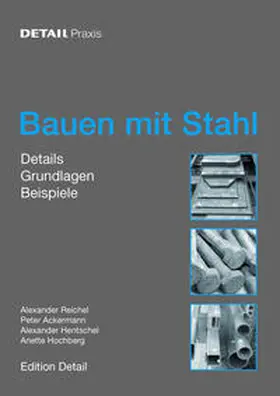 Hochberg / Reichel / Ackermann |  DETAIL PRAXIS - Bauen mit Stahl | Buch |  Sack Fachmedien