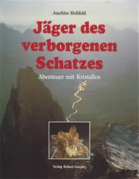 Hossfeld |  Jäger des verborgenen Schatzes | Buch |  Sack Fachmedien