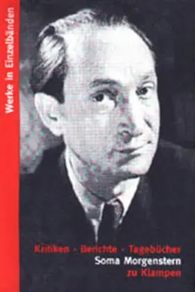 Schulte / Morgenstern |  Kritiken. Berichte. Tagebücher | Buch |  Sack Fachmedien