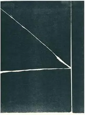 Kultur- und Sportamt Bietigheim-Bissingen - Städtische Galerie / Georg |  Linolschnitt heute | Buch |  Sack Fachmedien