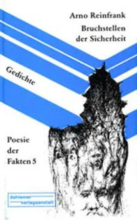 Reinfrank |  Bruchstellen der Sicherheit | Buch |  Sack Fachmedien