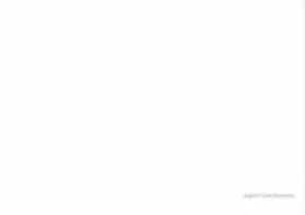 Reeckmann | Sigrid Reeckmann | Buch | 978-3-929727-33-3 | sack.de