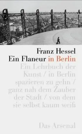 Hessel / Moses-Krause |  Ein Flaneur in Berlin | Buch |  Sack Fachmedien