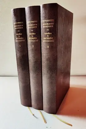 Danuser / Meischein / Michaelis |  Schriften in drei Bänden | Buch |  Sack Fachmedien