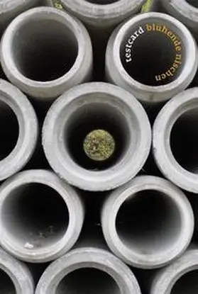 Athens / Behrens / Büsser |  Blühende Nischen | Buch |  Sack Fachmedien