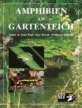 Saint-Paul / de Saint-Paul / Brand |  Amphibien am Gartenteich | Buch |  Sack Fachmedien