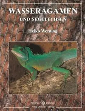 Werning |  Wasseragamen und Segelechsen | Buch |  Sack Fachmedien