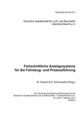 Grandt |  Fortschrittliche Anzeigesysteme für die Fahrzeug- und Prozessführung | Buch |  Sack Fachmedien