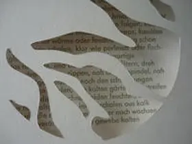 Bleutge / Haff |  fischhaare finden | Buch |  Sack Fachmedien