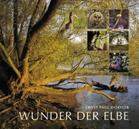 Dörfler / Bund f. Umwelt u. Naturschutz Deutschland e.V. (BUND);Landesverband Sachsen-Anhalt in Verbindung mit d. Landesheimatbund Sachsen-Anhalt |  Wunder der Elbe | Buch |  Sack Fachmedien