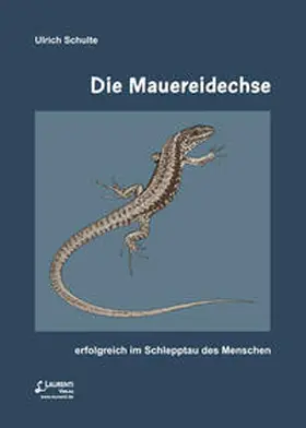 Schulte |  Die Mauereidechse | Buch |  Sack Fachmedien