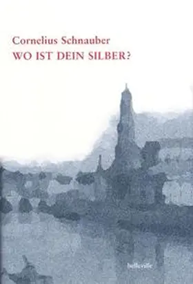 Schnauber |  Wo ist dein Silber? | Buch |  Sack Fachmedien