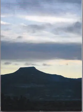 Fischer |  Could you hear the ghosts? | Buch |  Sack Fachmedien