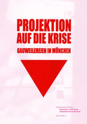 Gufler |  Projektion auf die Krise | Buch |  Sack Fachmedien