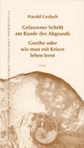 Gerlach |  Gelassener Schritt am Rande des Abgrunds | Buch |  Sack Fachmedien