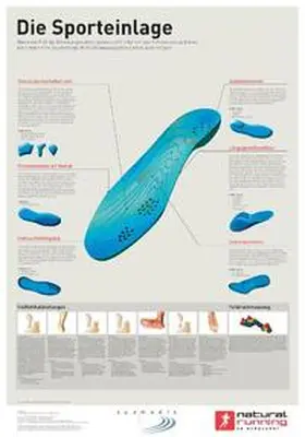 Marquardt |  Die Sporteinlage | Sonstiges |  Sack Fachmedien