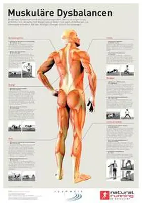 Marquardt |  Muskuläre Dysbalancen | Sonstiges |  Sack Fachmedien