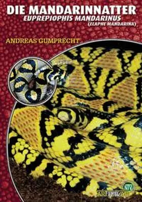 Gumprecht | Die Mandarinnatter | Buch | 978-3-937285-37-5 | www2.sack.de