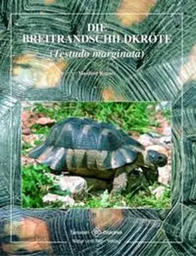 Rogner |  Breitrandschildkröte | Buch |  Sack Fachmedien