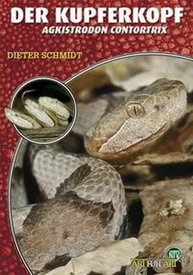 Schmidt |  Der Kupferkopf | Buch |  Sack Fachmedien