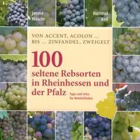 Mäurer / Keil |  100 Seltene Rebsorten in Rheinhessen und der Pfalz | Buch |  Sack Fachmedien