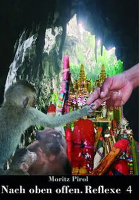 Pirol |  Nach oben offen. Reflexe 4 | Buch |  Sack Fachmedien