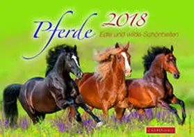 Jung |  Pferde 2018 | Buch |  Sack Fachmedien