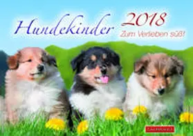 Jung |  Hundekinder 2018 | Sonstiges |  Sack Fachmedien