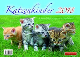 Jung |  Katzenkinder 2018 | Sonstiges |  Sack Fachmedien