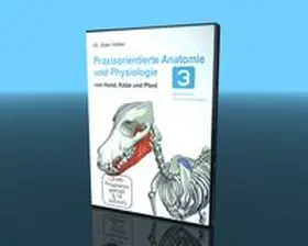 Video-Commerz GmbH |  Praxisorientierte Anatomie und Physiologie bei Hund, Katze und Pferd | Sonstiges |  Sack Fachmedien
