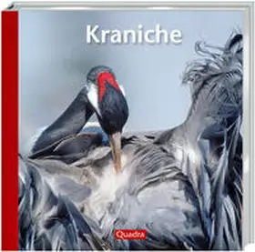 Elsner / Rolfes |  Kraniche | Buch |  Sack Fachmedien