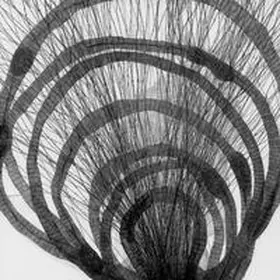 Schneider / naivsuper Book Berlin |  Rauschen | Buch |  Sack Fachmedien