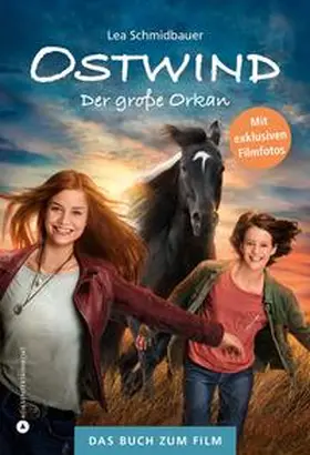 Schmidbauer |  Ostwind - Der große Orkan | Buch |  Sack Fachmedien