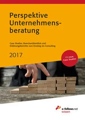 Hies | Perspektive Unternehmensberatung 2017 | Buch | 978-3-941144-89-7 | sack.de