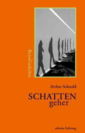 Schnabl |  Schattengeher | Buch |  Sack Fachmedien