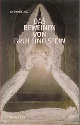 Voigt |  Reihe Geisteswissenschaft / Das Beweinen von Brot und Stein | Buch |  Sack Fachmedien
