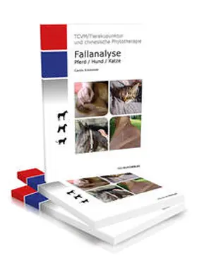 Krokowski |  Fallanalyse | Buch |  Sack Fachmedien