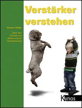 Theby |  Verstärker verstehen | Buch |  Sack Fachmedien
