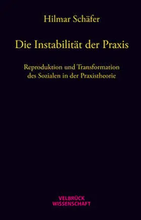Schäfer |  Die Instabilität der Praxis | Buch |  Sack Fachmedien