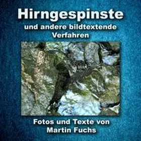 Fuchs |  Hirngespinste | Buch |  Sack Fachmedien