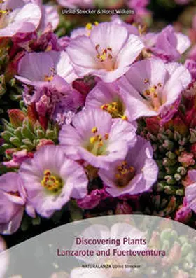 Strecker / Wilkens |  Discovering Plants Lanzarote and Fuerteventura | Buch |  Sack Fachmedien