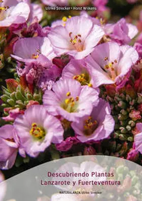 Strecker / Wilkens |  Descubriendo Plantas Lanzarote y Fuerteventura | Buch |  Sack Fachmedien