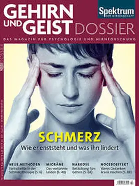  Schmerz | Buch |  Sack Fachmedien
