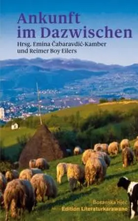 Boy Eilers / Cabaravdic-Kamber / Cabaravdic-Kamber |  Ankunft im Dazwischen | Buch |  Sack Fachmedien