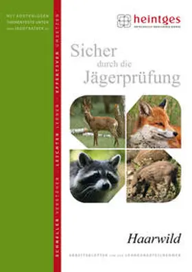 Heintges |  Haarwild | Buch |  Sack Fachmedien